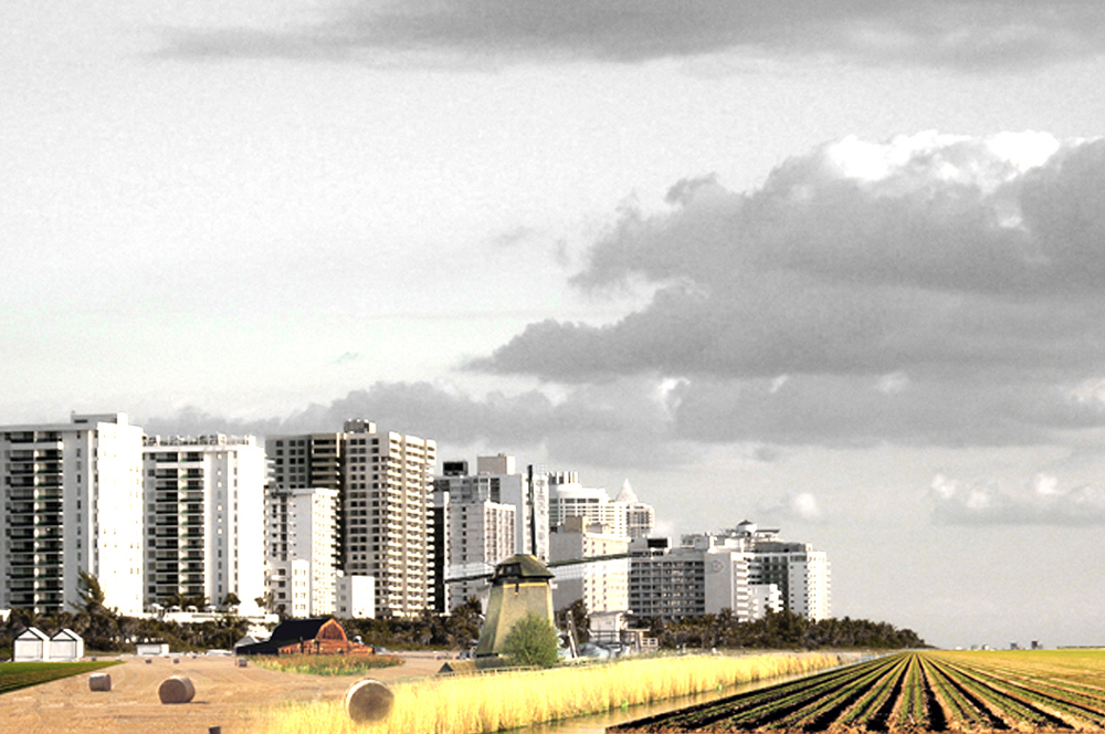 landscape-urban-project