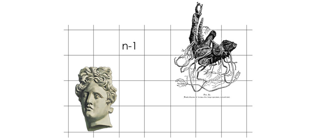 dechirico-rizoma-griglia-design